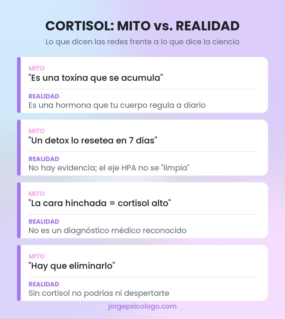 Infografía sobre qué es el cortisol y qué lo dispara