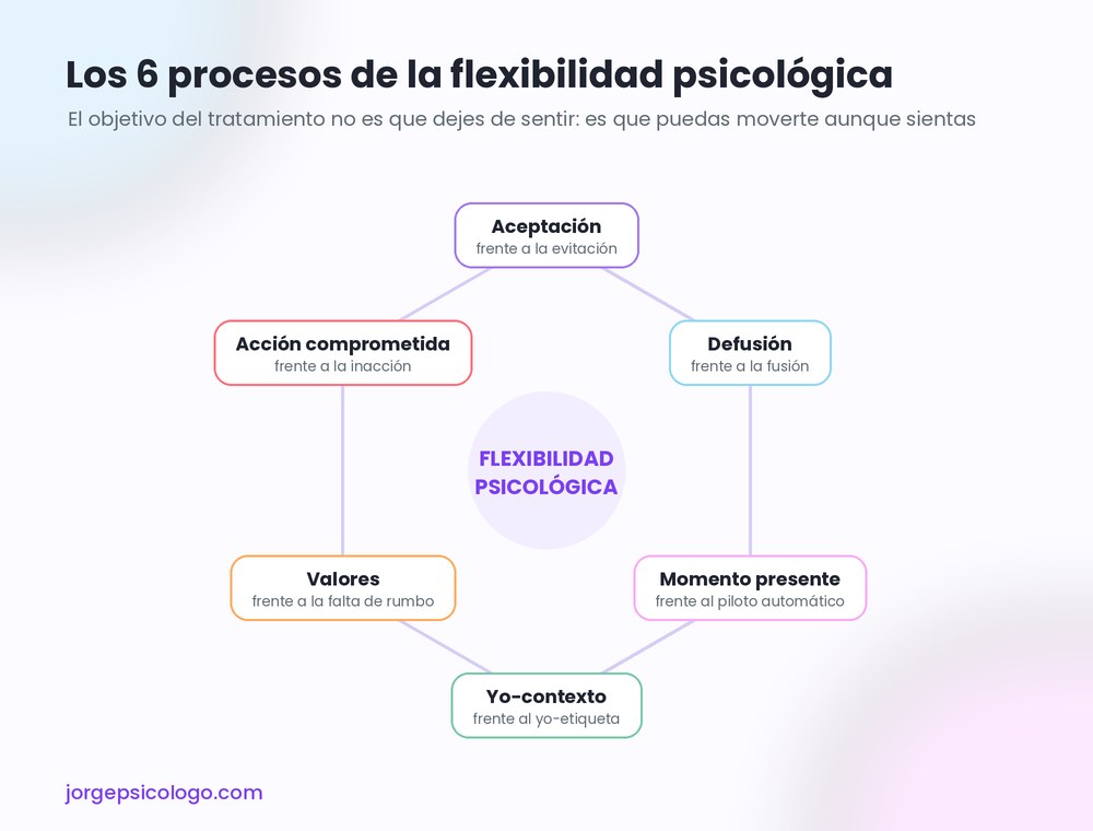 Los seis procesos de la flexibilidad psicológica en ACT